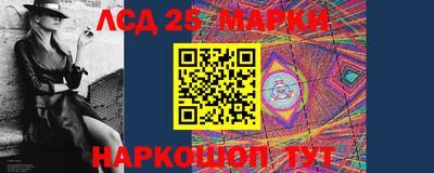 индика Гусев