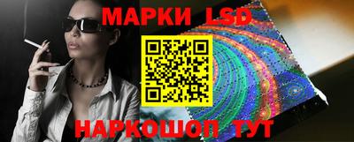 индика Гусев