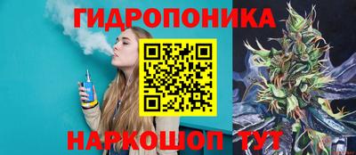 мяу мяу кристалл Гусь-Хрустальный