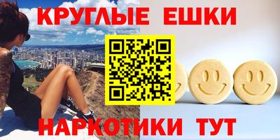 индика Гусев