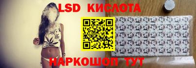 индика Гусев