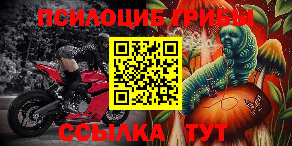 Галлюциногенные грибы Psilocybe Ступино